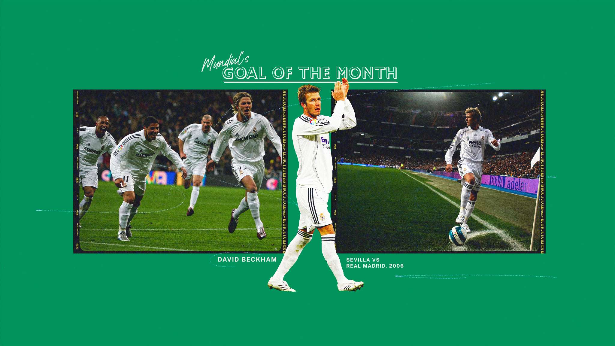 和地区的荣 和地区的荣